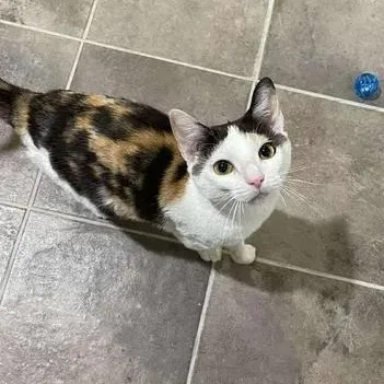 Fran