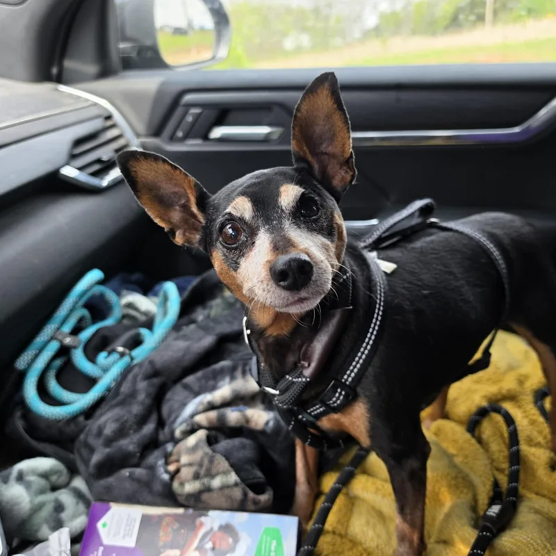 Sunshine thumbnail 4