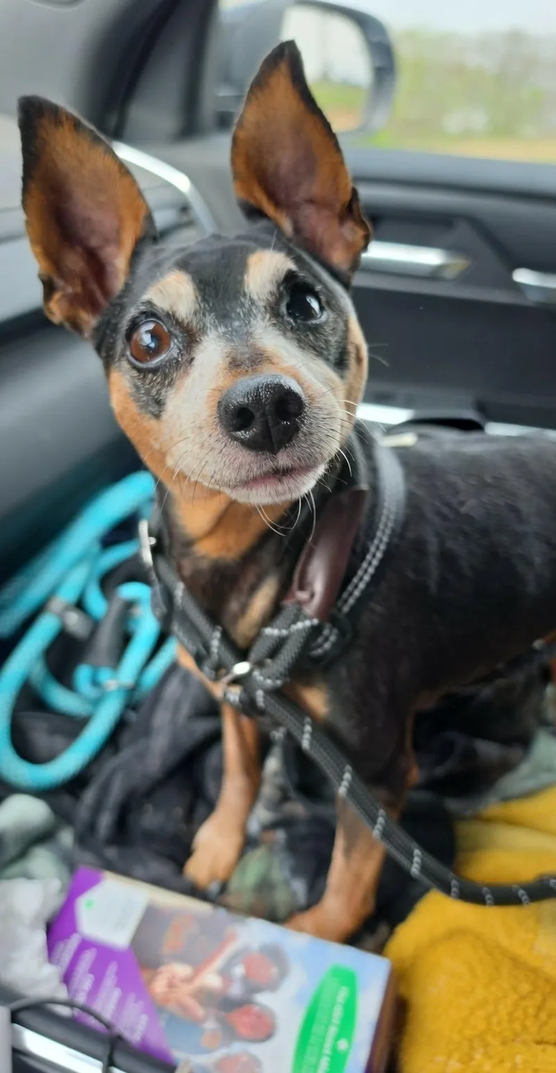 Sunshine thumbnail 5