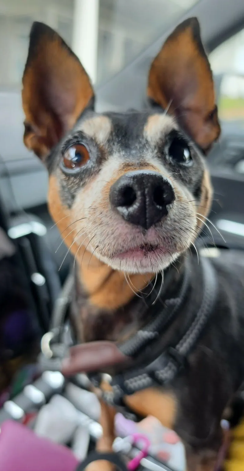 Sunshine thumbnail 6