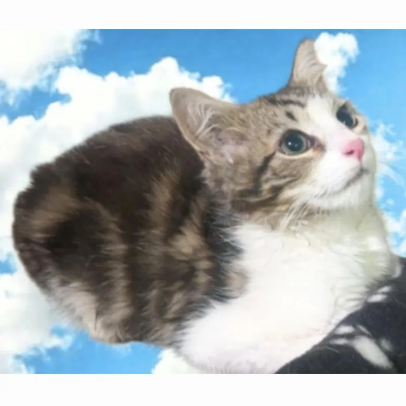 April thumbnail 4
