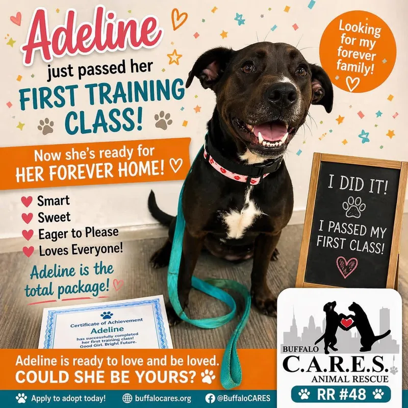 Adeline thumbnail 3