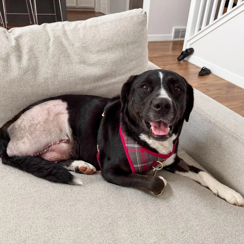 Miss Polly thumbnail 5