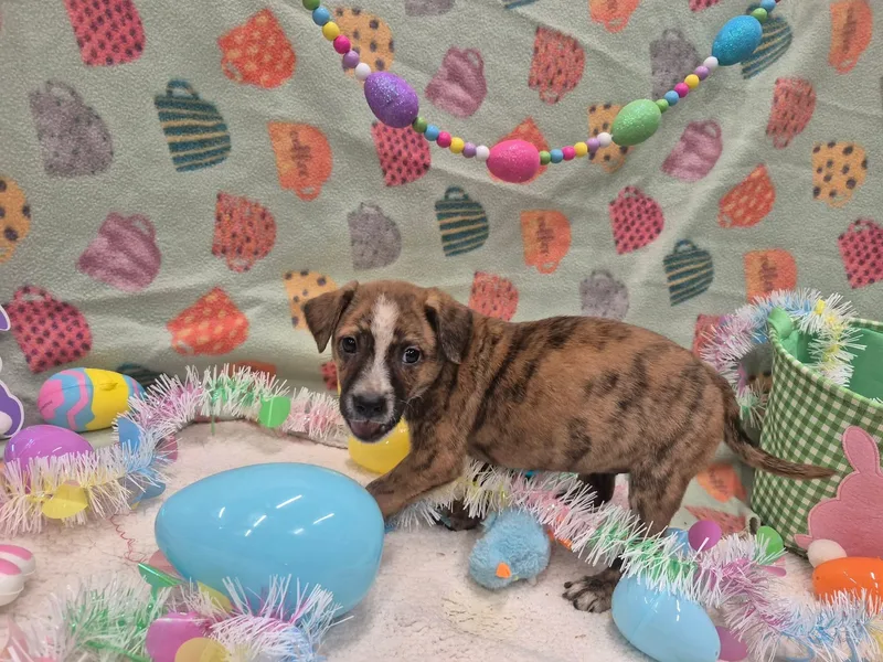 Ocean Orrin thumbnail 2