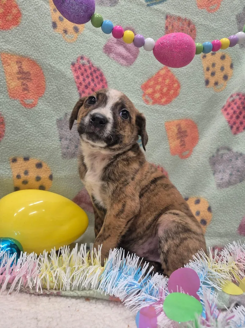 Ocean Orrin thumbnail 5