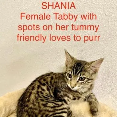 Shania