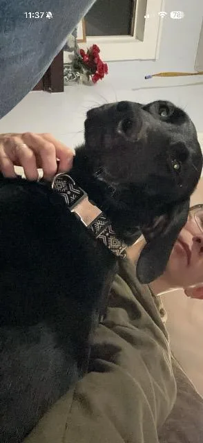 Ellie thumbnail 2
