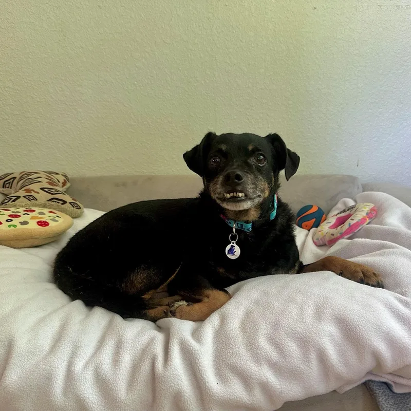 Sid