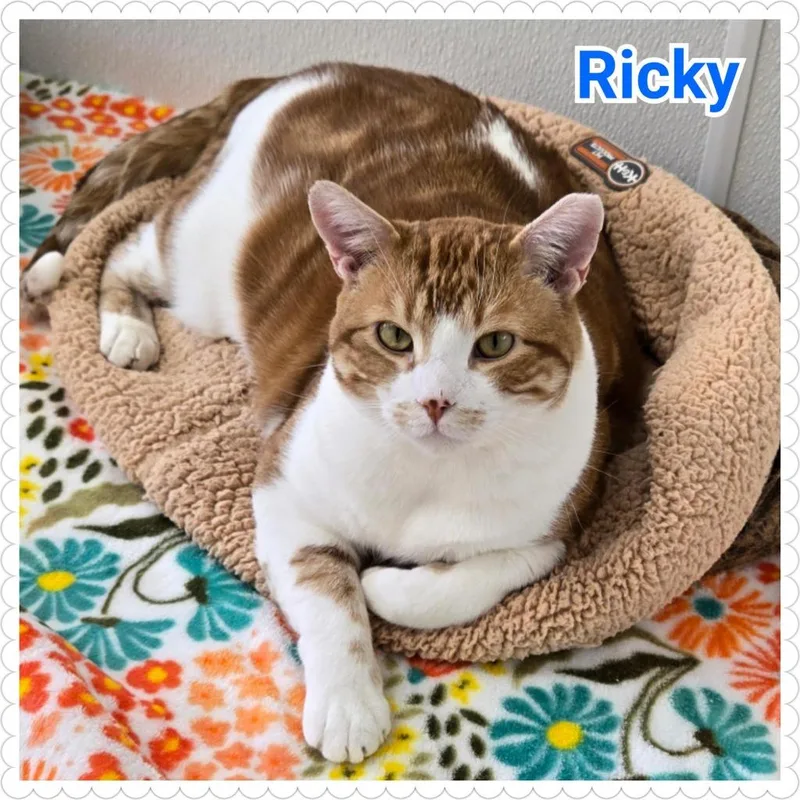 Ricky