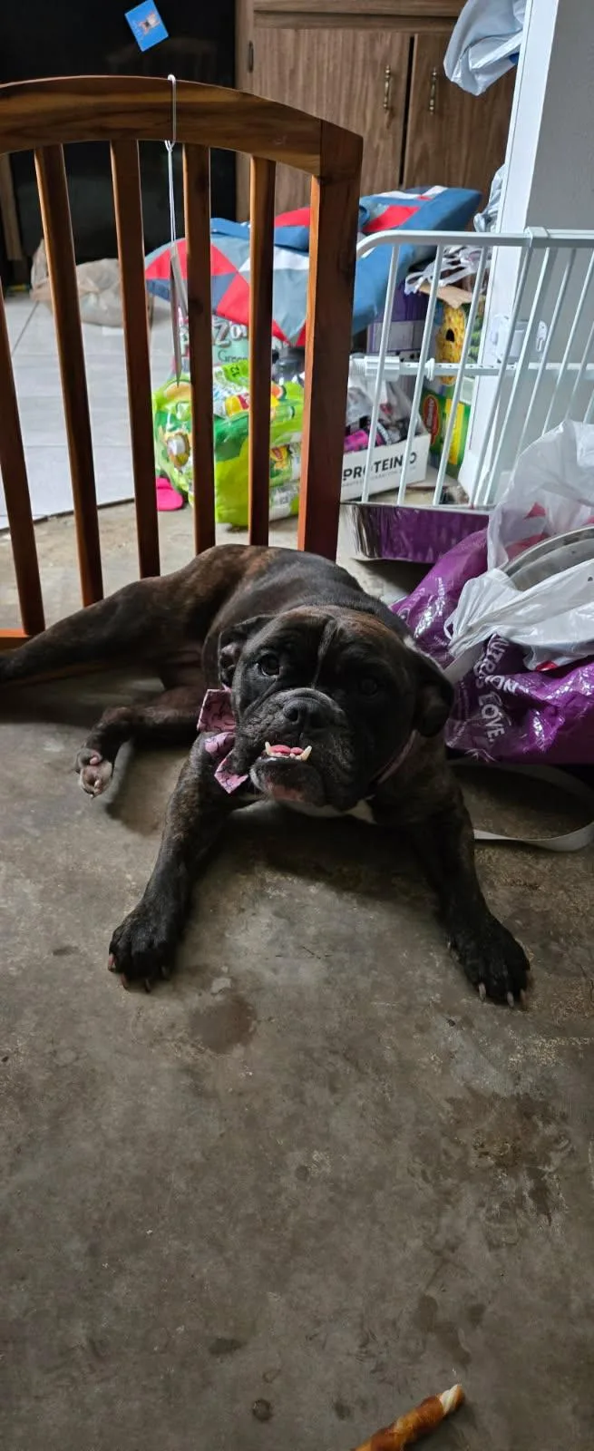 Frankie