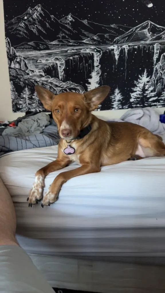 Peaches thumbnail 2