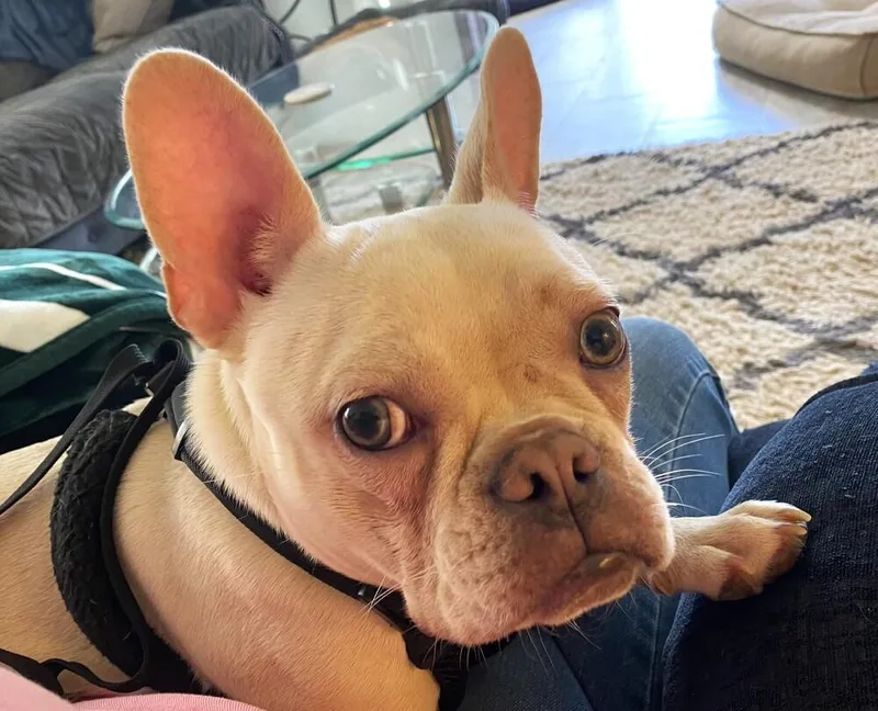 Roxy thumbnail 3