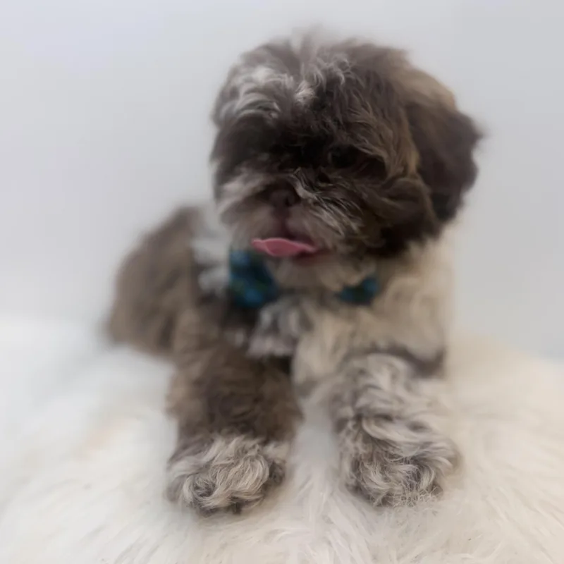 Rocky road thumbnail 2