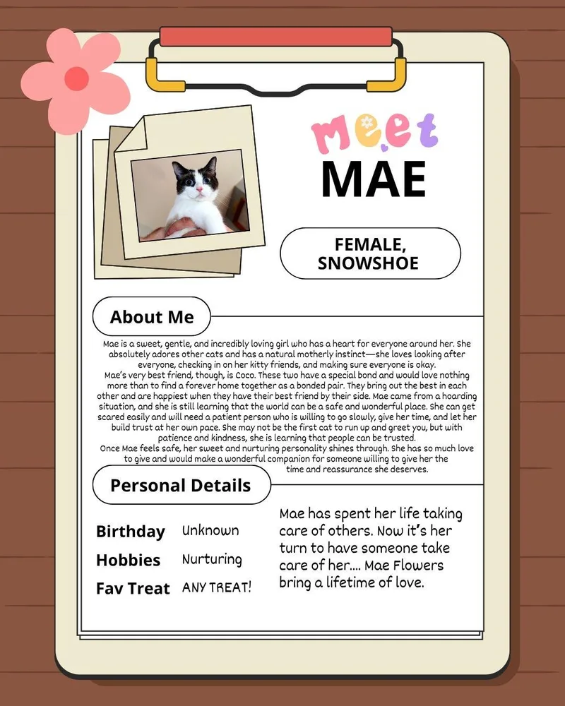 Mae thumbnail 4
