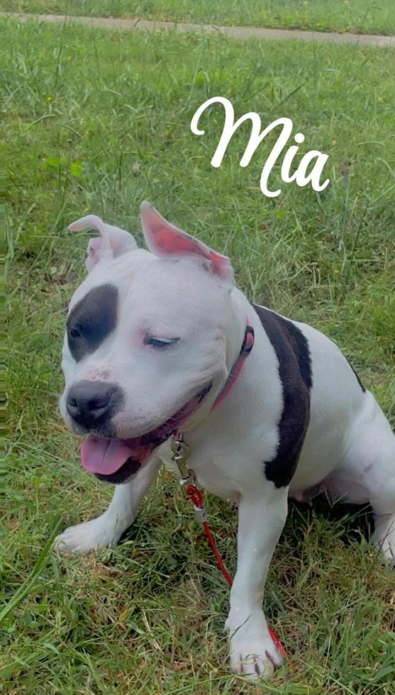 Mia thumbnail 2