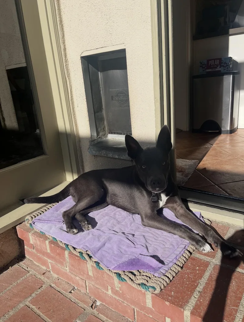 Zeus  The Sweetest thumbnail 2