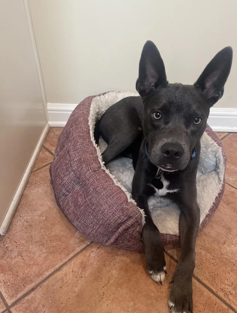 Zeus  The Sweetest thumbnail 3