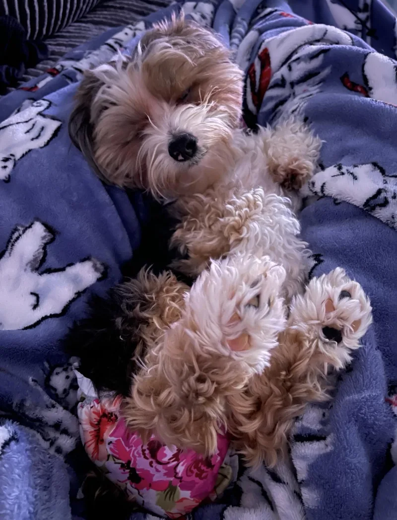 Ellie