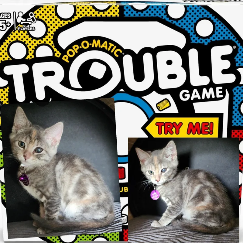 Trouble thumbnail 2