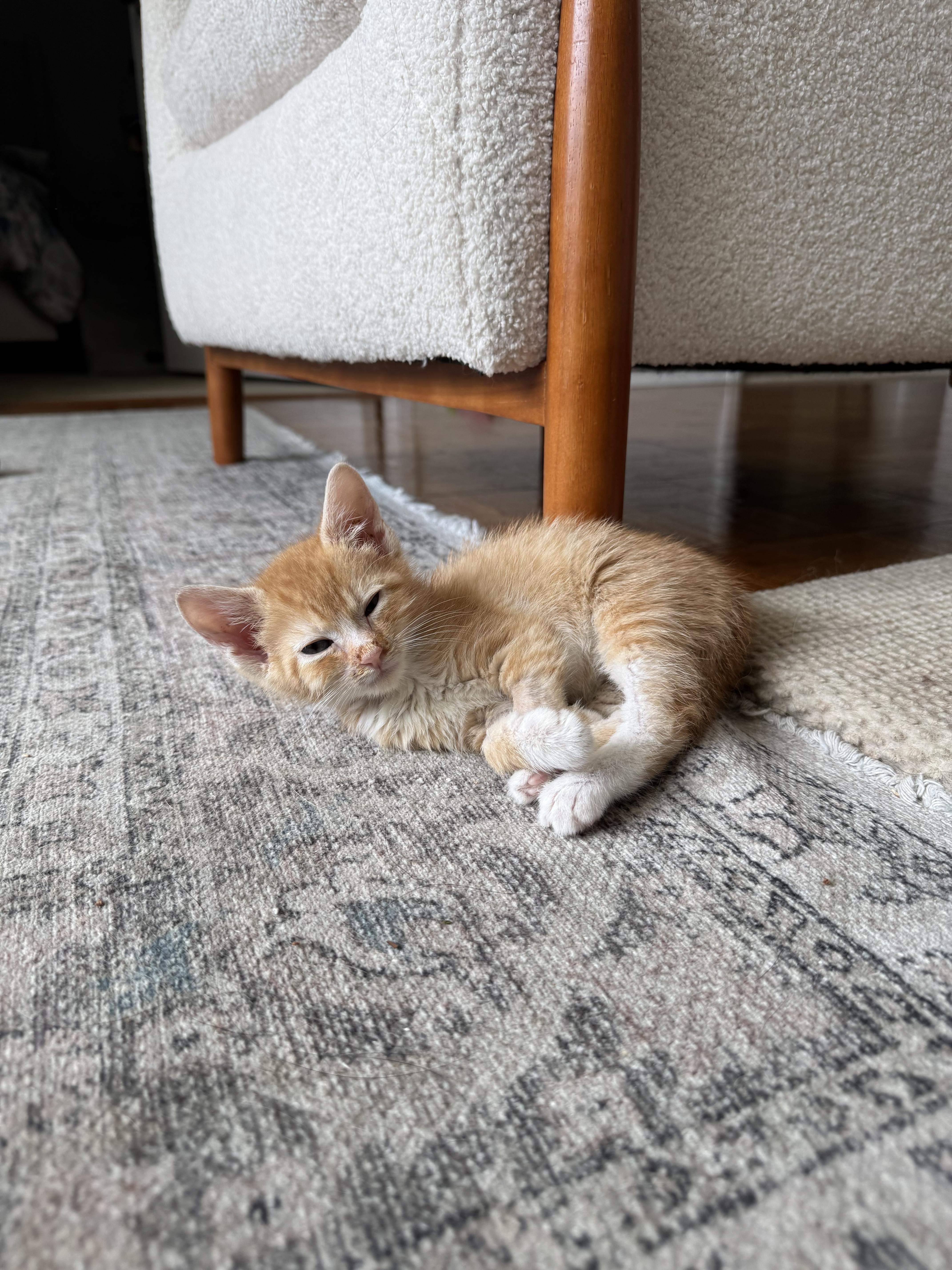 Sammie And Stevie thumbnail 3