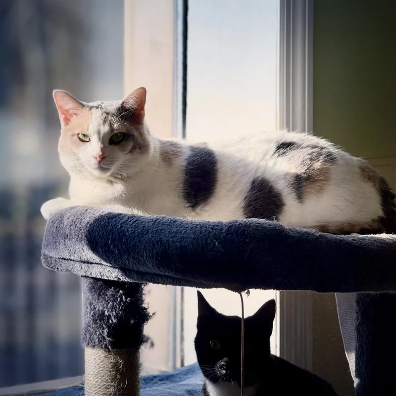 Maybelline thumbnail 2