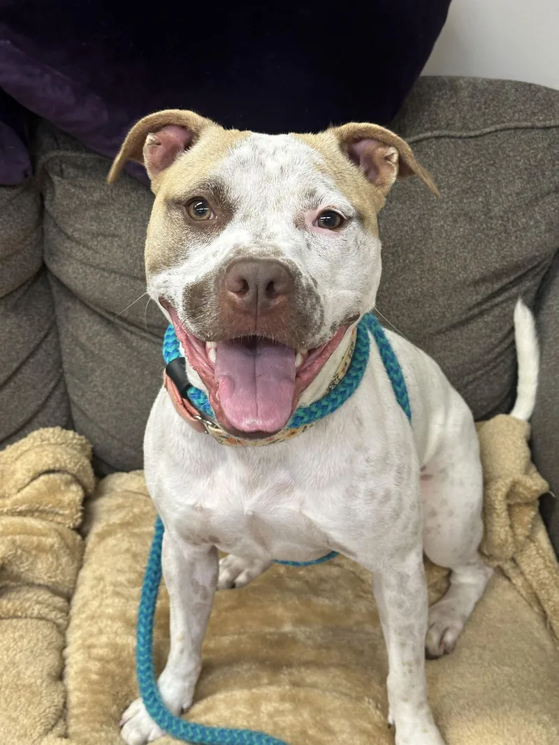 Sandy Nj thumbnail 2