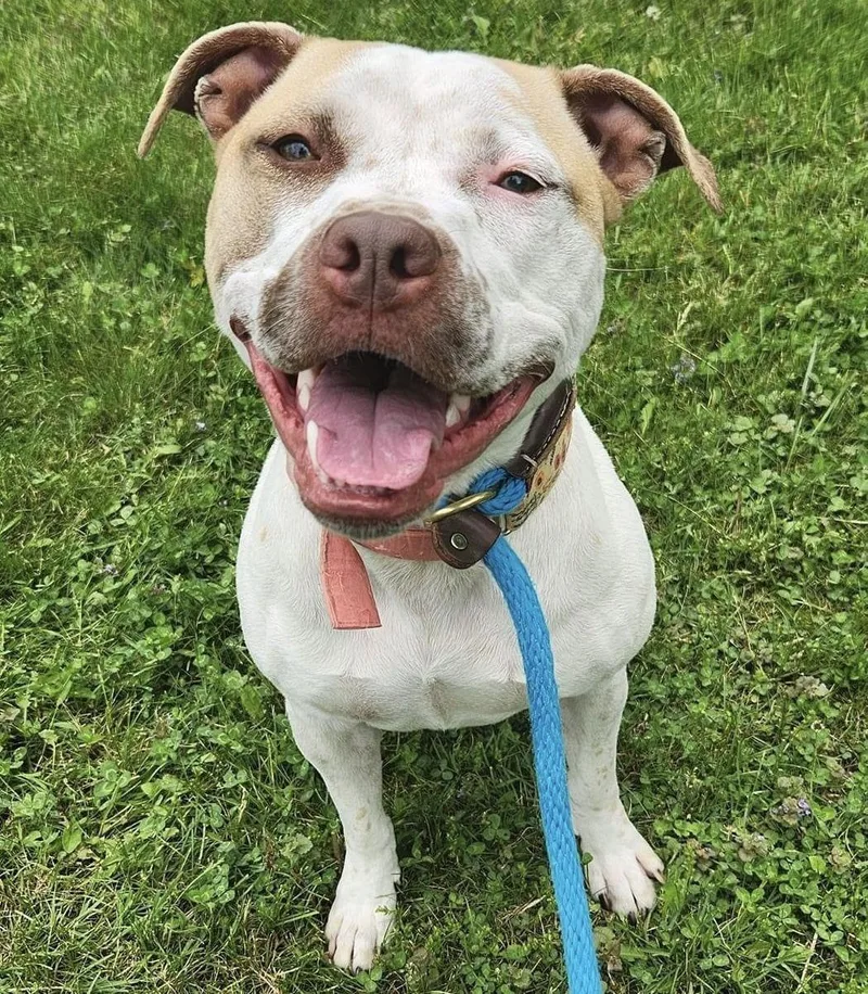 Sandy Nj thumbnail 3