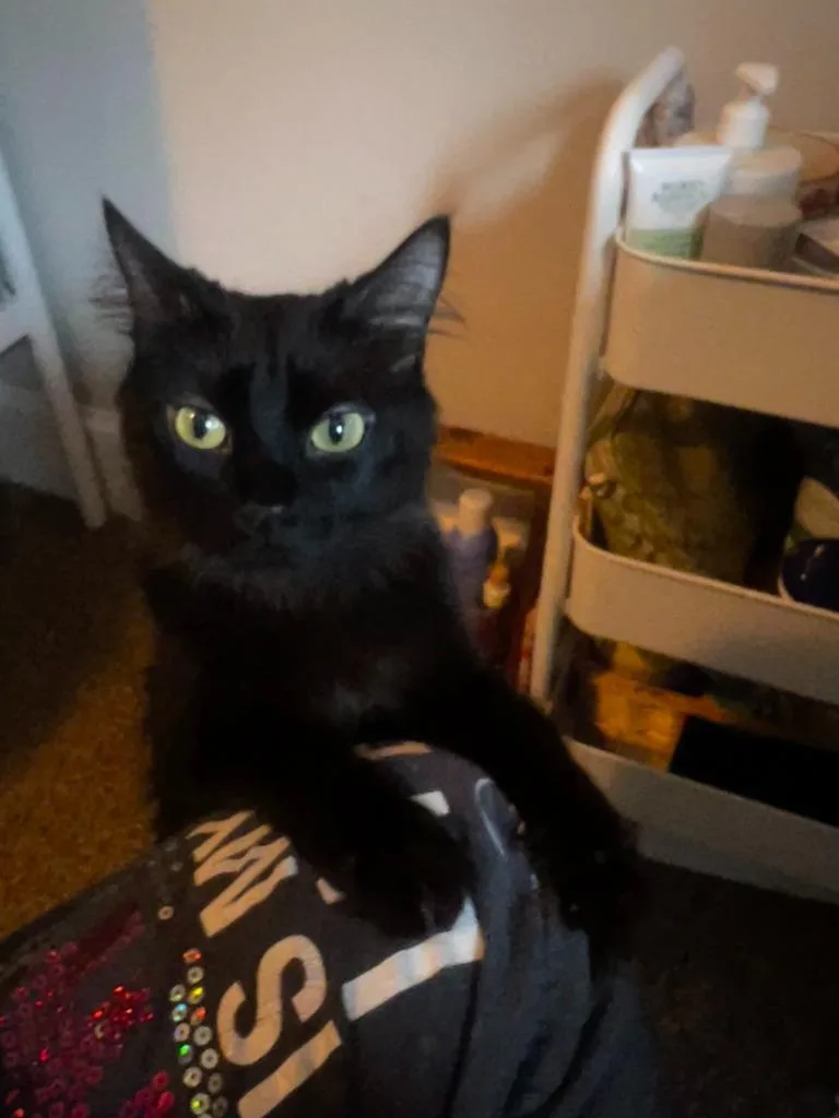 Kiki  Minnie thumbnail 3