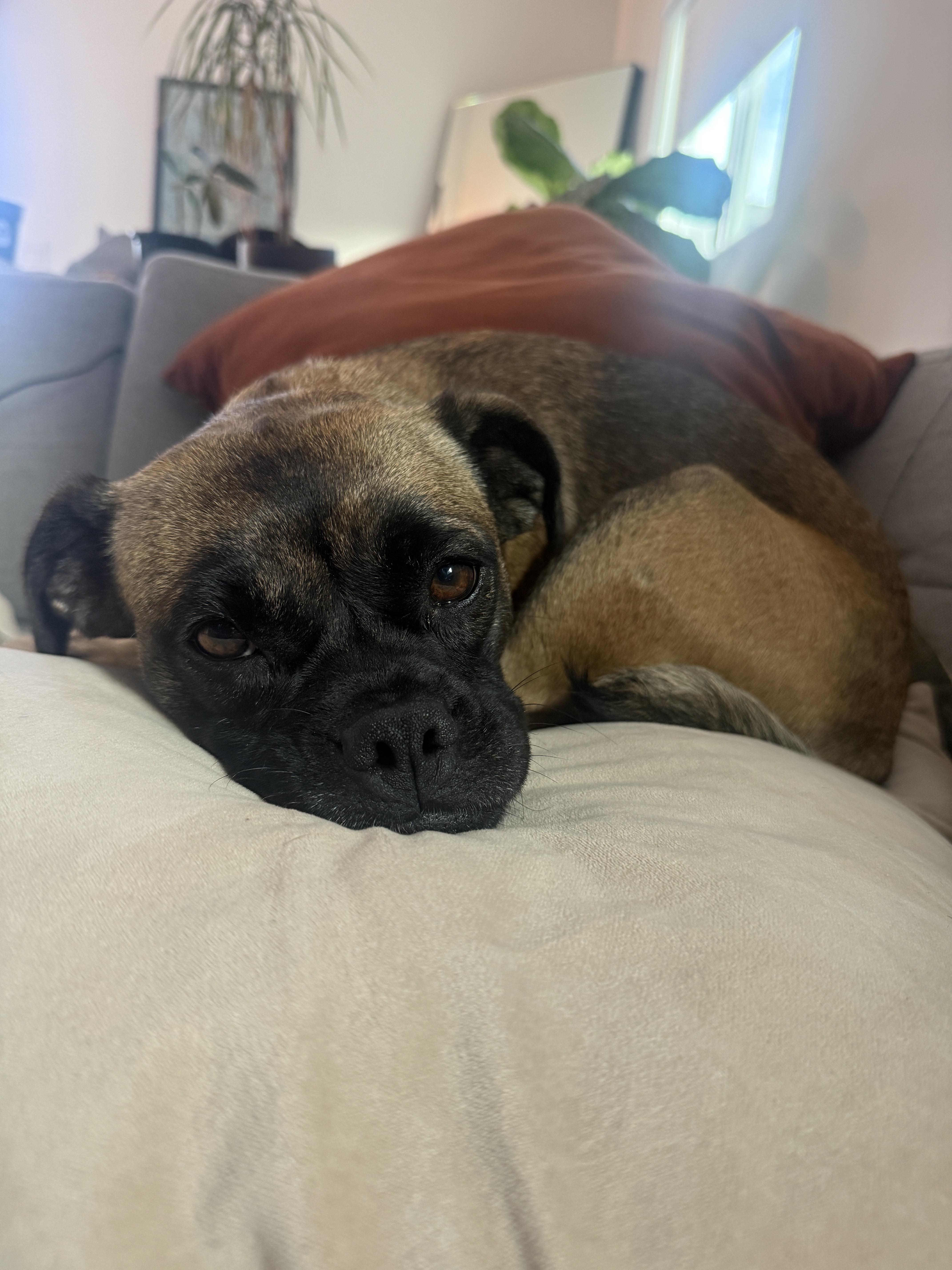 Rosalita