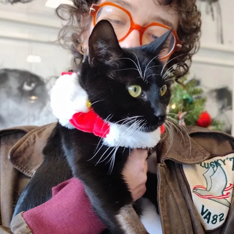 Hail Mary Aka Midnite thumbnail 4