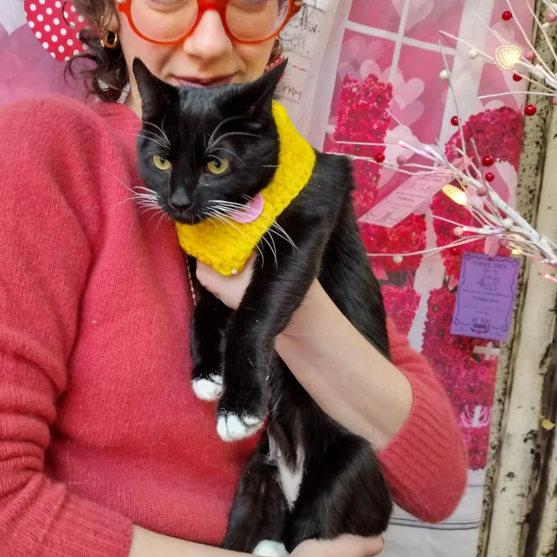 Hail Mary Aka Midnite thumbnail 5