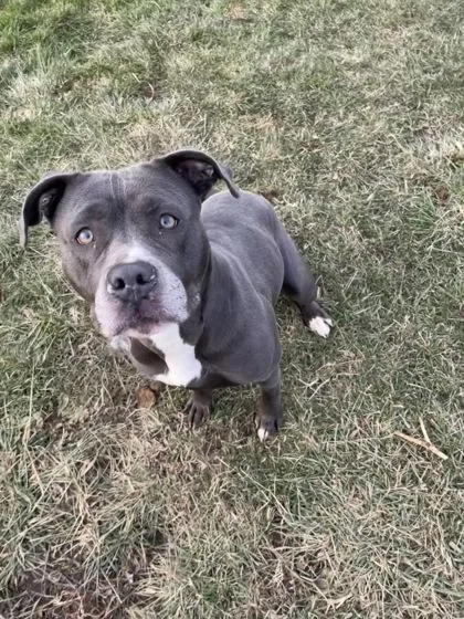 Serenity thumbnail 2