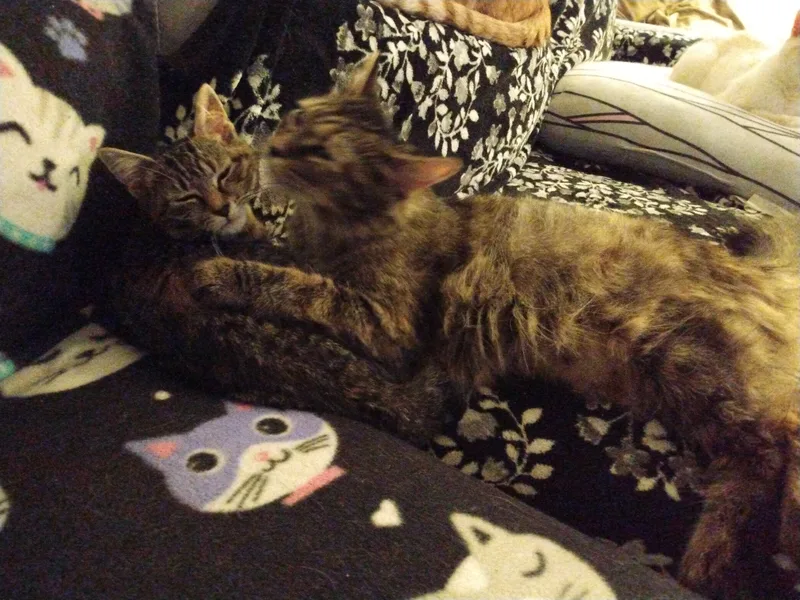 Wendy And Tigerlily thumbnail 4