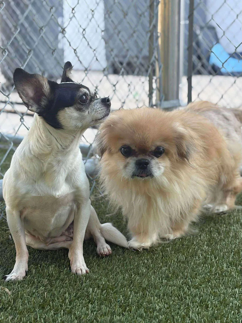 Pepper Lynn thumbnail 2