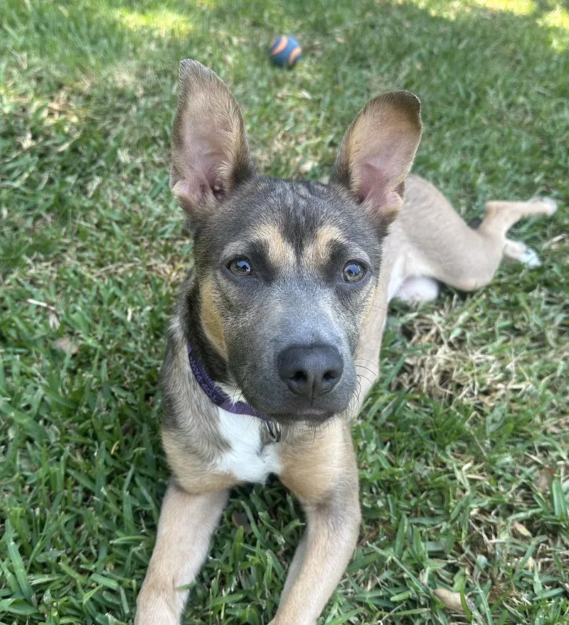 Ms. Frankie Valentina! thumbnail 2