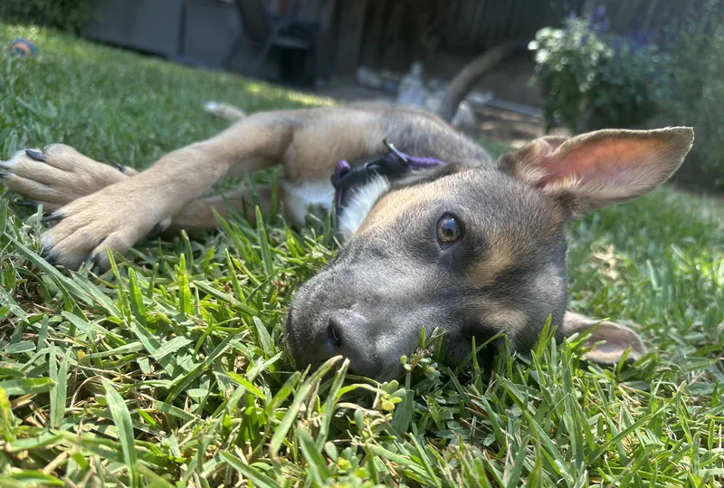 Ms. Frankie Valentina! thumbnail 3