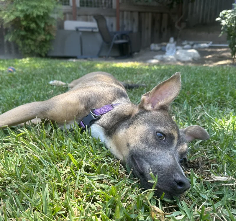 Ms. Frankie Valentina! thumbnail 4