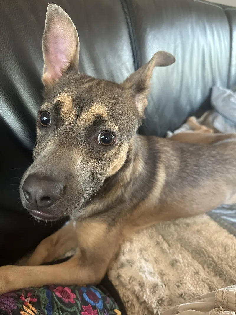 Ms. Frankie Valentina! thumbnail 5