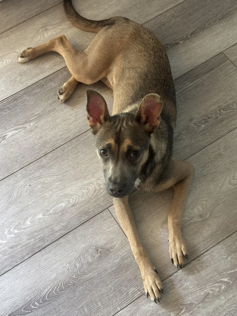 Ms. Frankie Valentina! thumbnail 6