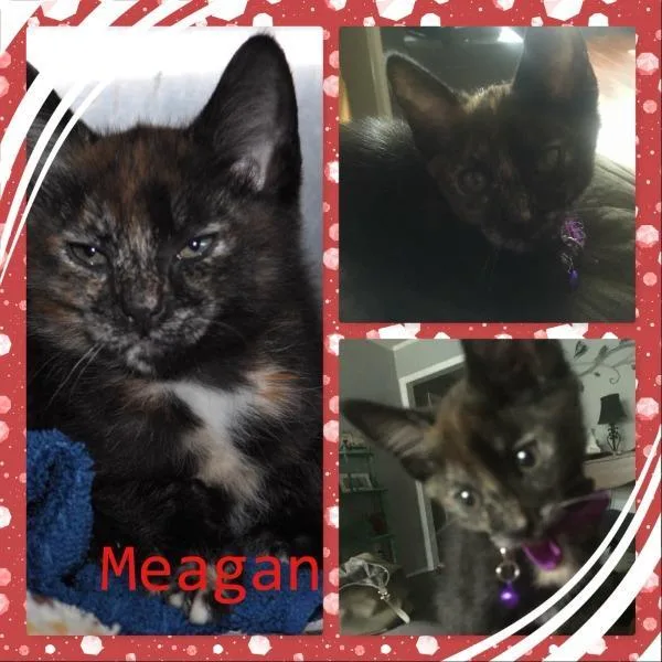 Meagan thumbnail 2