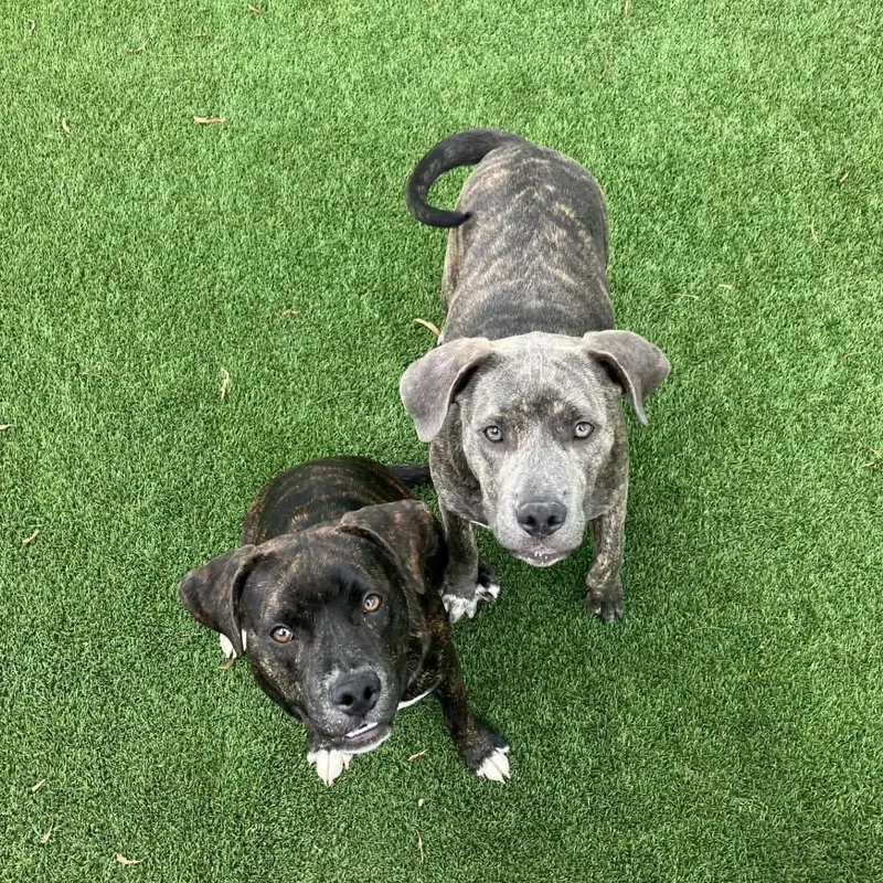 Jamie Foxx thumbnail 3