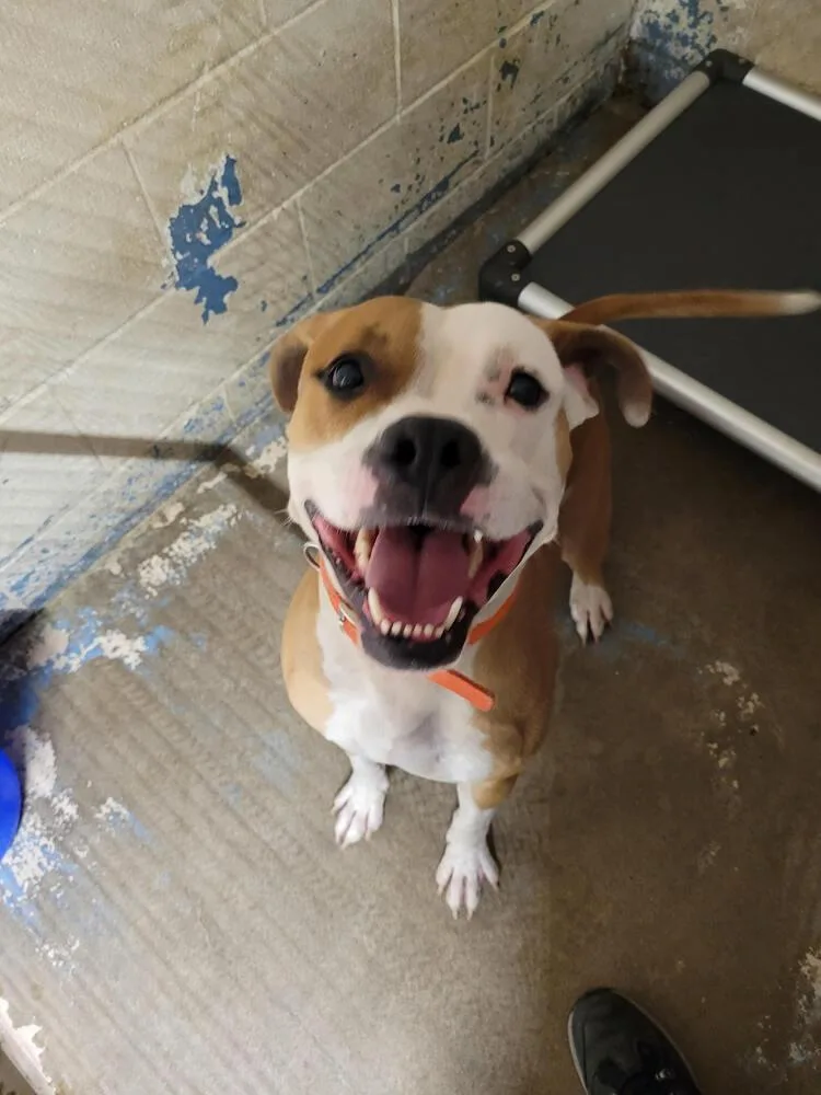 O'bannon thumbnail 2