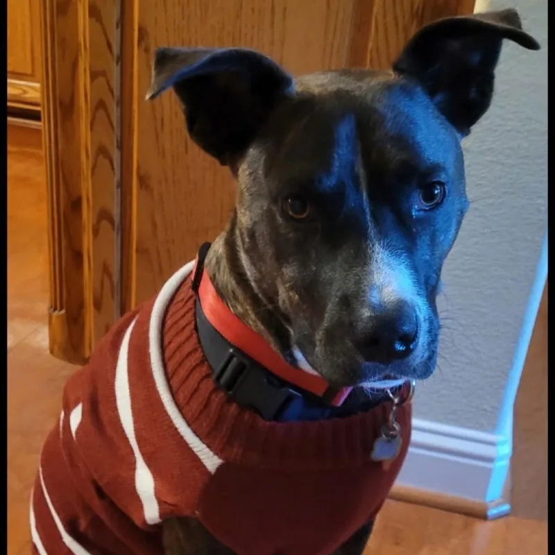 Jack Barkley thumbnail 2