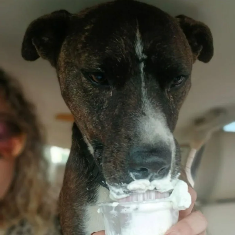 Jack Barkley thumbnail 3