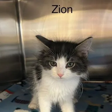 Zion