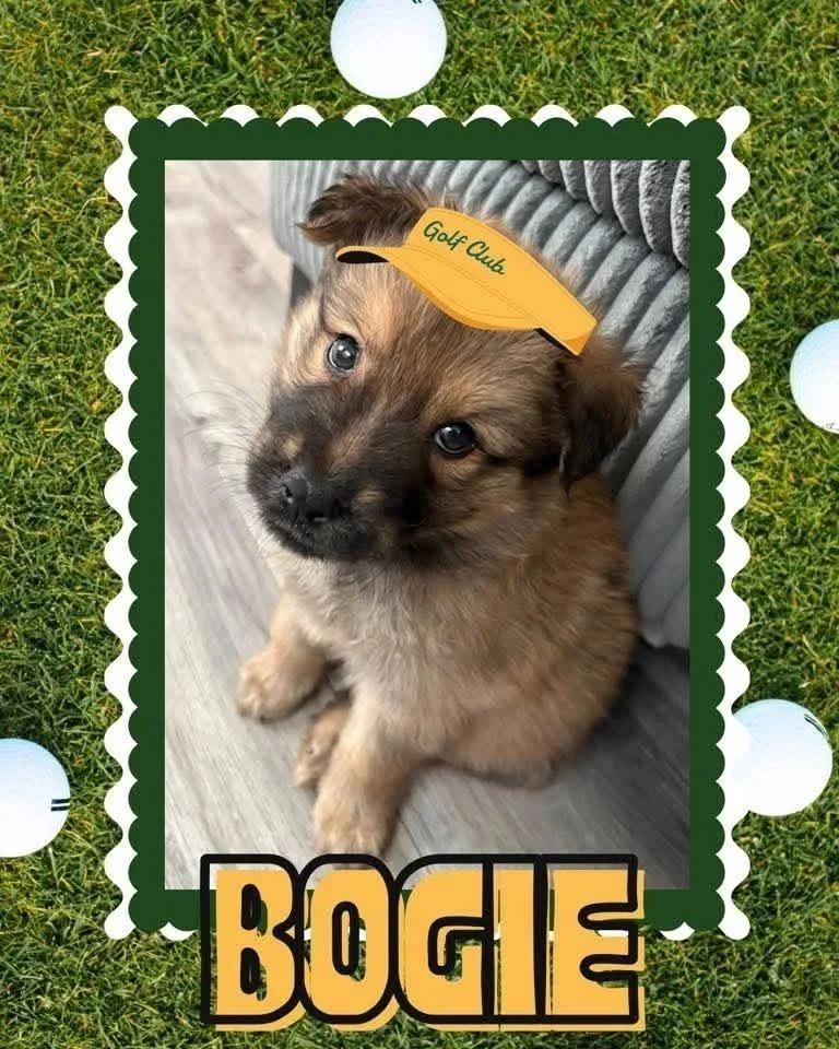 Bogie thumbnail 3