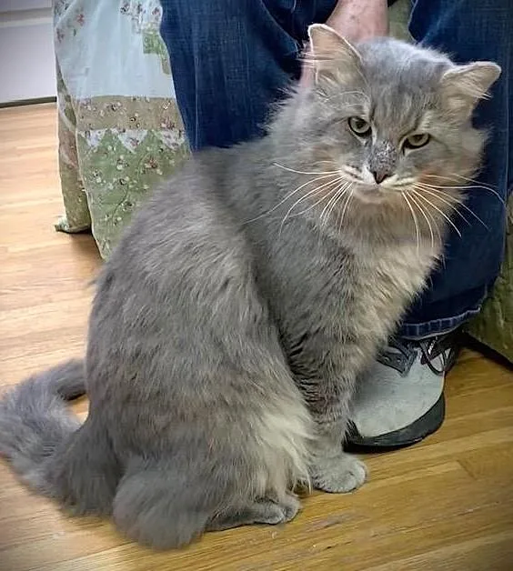 Big Fluff thumbnail 2