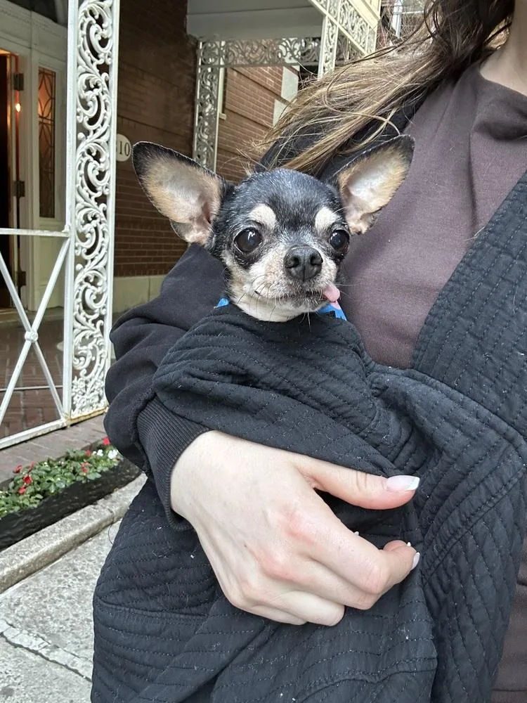Nellie