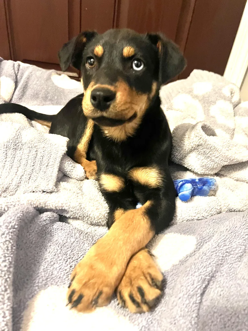 Zelda Zip  Local thumbnail 2