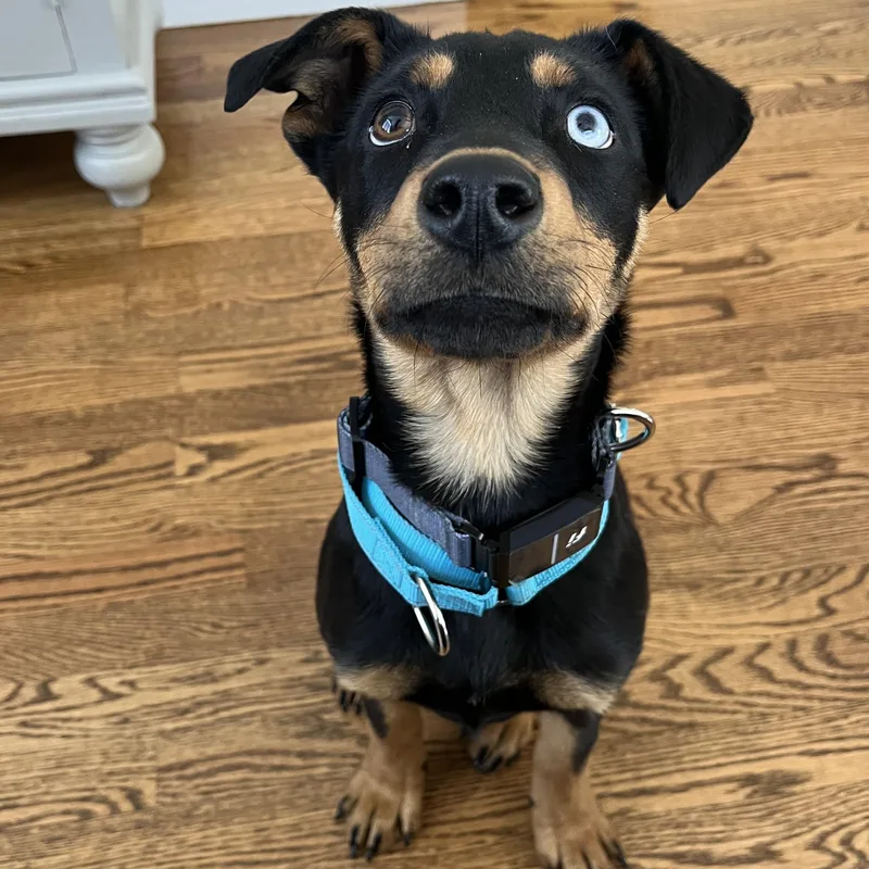 Zelda Zip  Local thumbnail 3